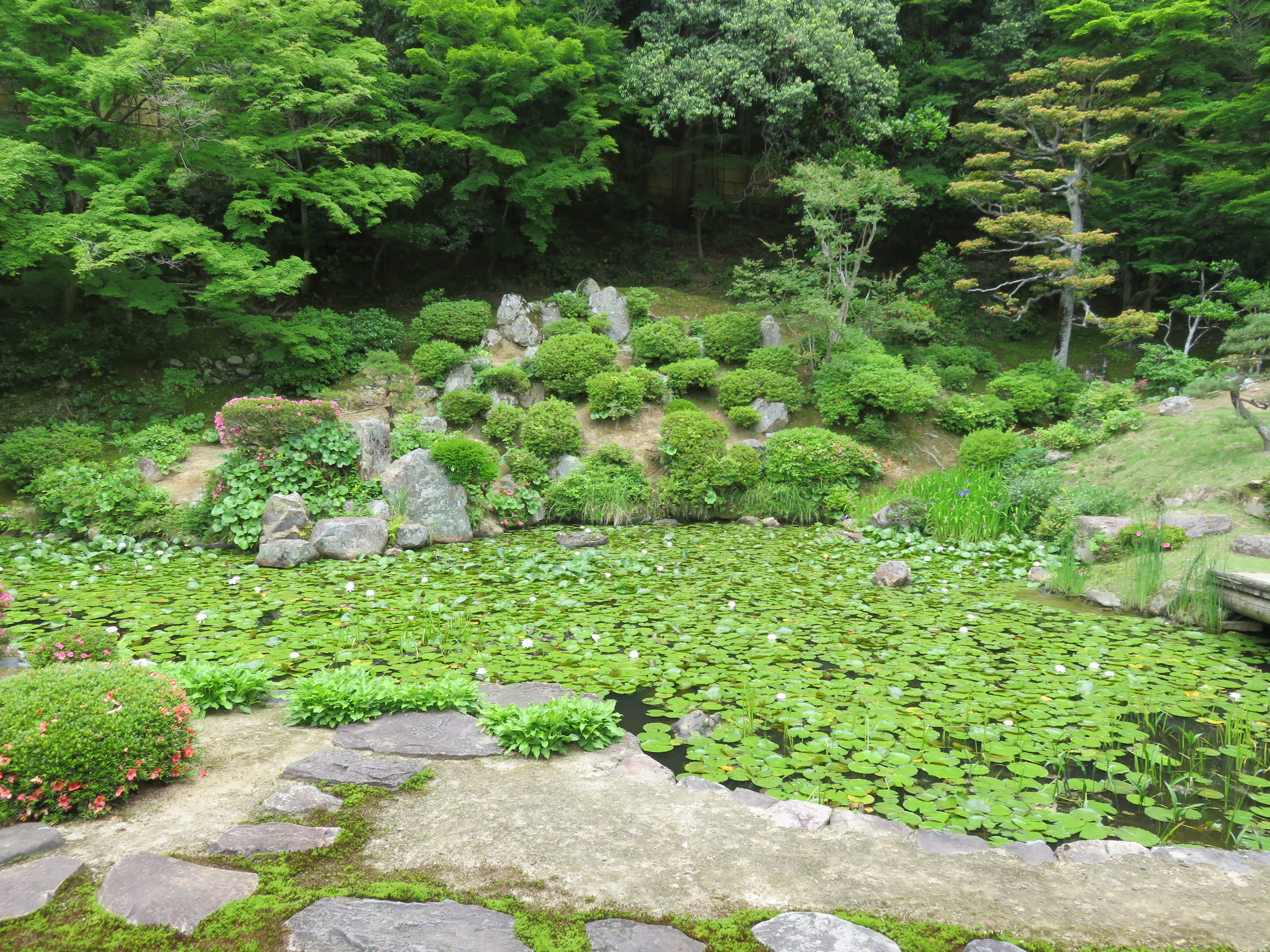鳥取城攻防戦を表現した興禅寺庭園 探検庭園